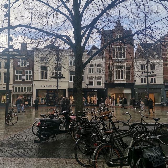 S'-Hertogenbosch, the City of Culture in the South