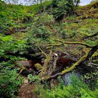 Dalcairney Falls 🇬🇧