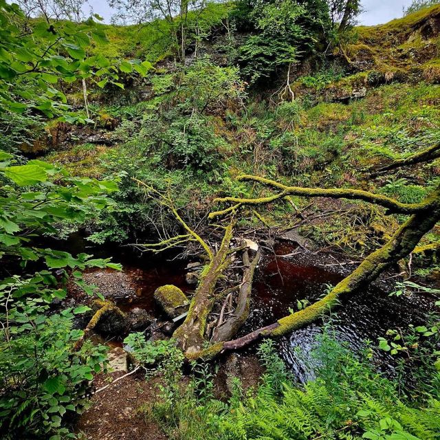 Dalcairney Falls 🇬🇧