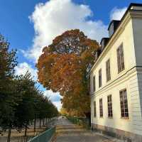 Autumn at Drottningholm Palace 🗺️