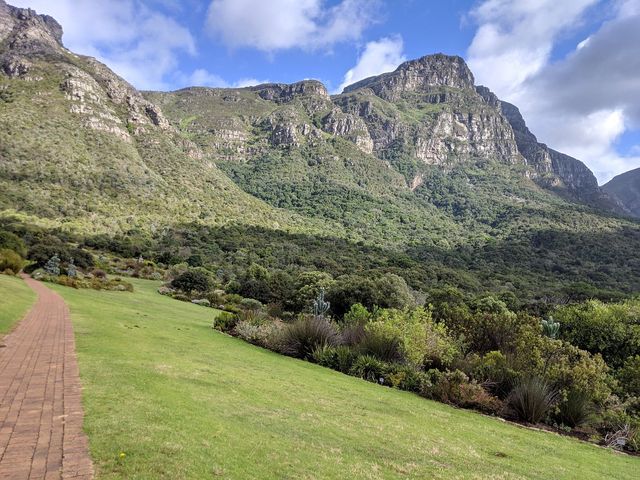 Cape Winelands Odyssey 🏞️