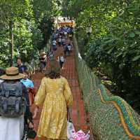 Golden Thai Temple