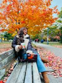 가을 토론토 시내 탐험 🍂