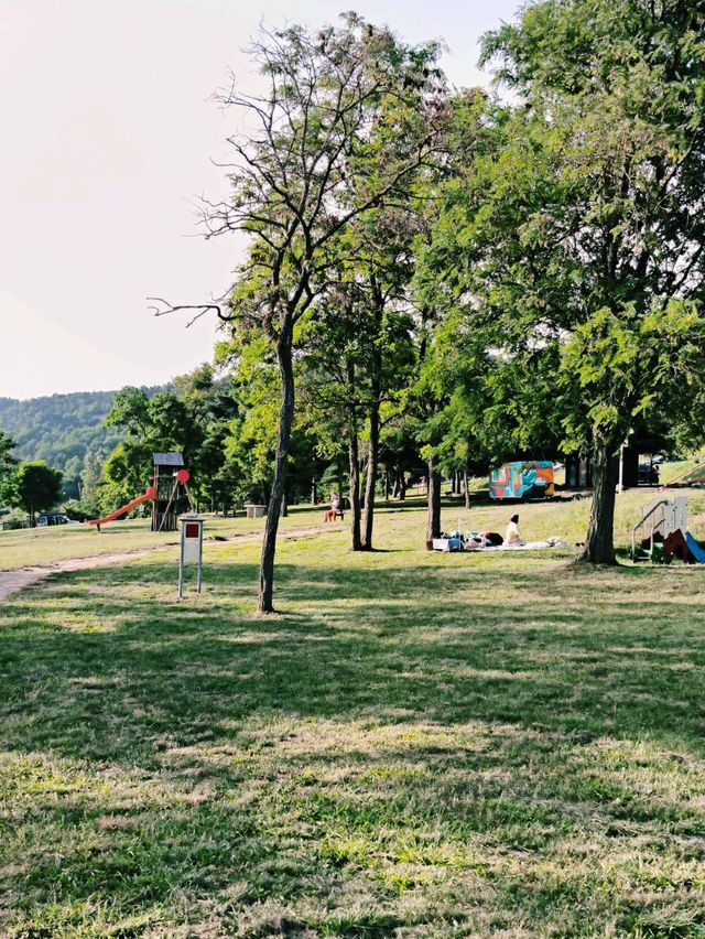 The best Picnic one can have!