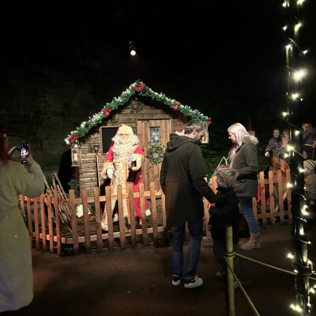 STOURHEAD CHRISTMAS LIGHTS!🎄