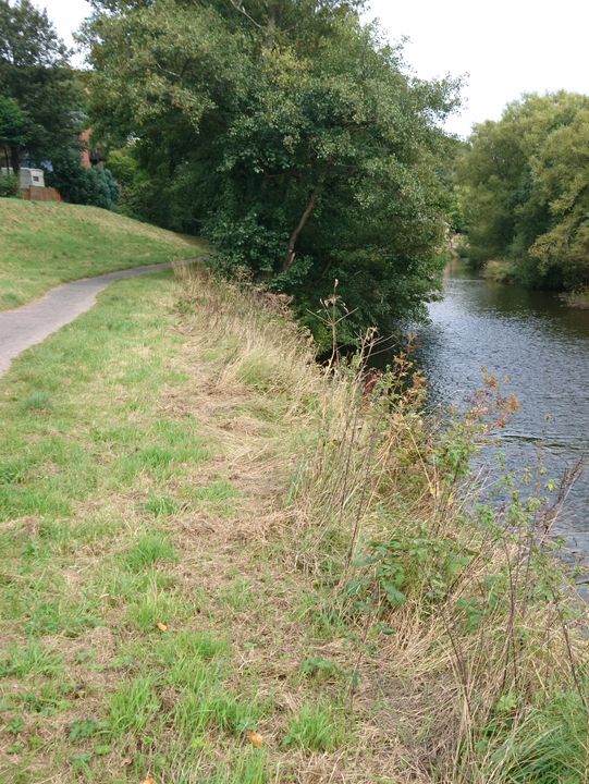 🚴‍♂️ Wild Wales on Two Wheels: Welshpool to Aberystwyth 🚴‍♀️