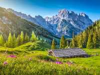Swiss National Park​: Switzerland's iconic Park