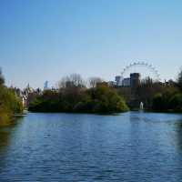 Westminster Walks: Notes from London’s Core