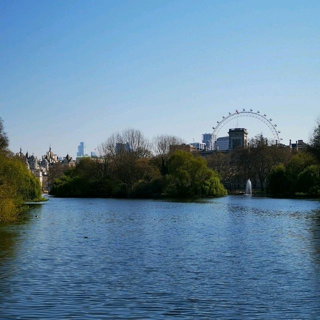 Westminster Walks: Notes from London’s Core