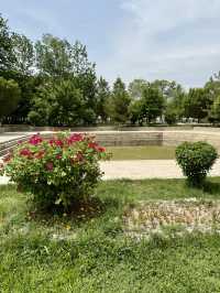 Spring in Bukhara: The Timeless Beauty of Ismail Samani Mausoleum