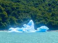 Adventure Cruise + Ice Trek Vibes