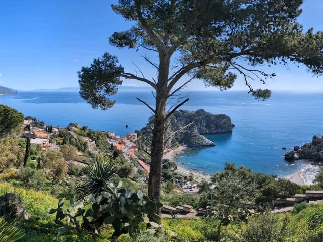 1 hour trail with stunning views