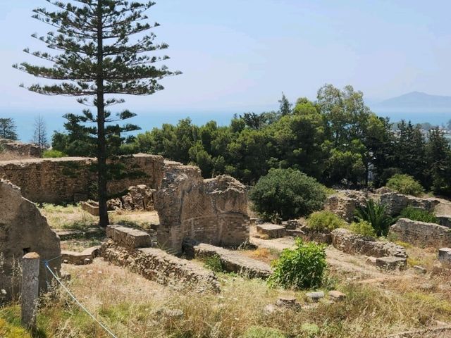 Carthage - Roman Ruins of Tunis,Tunisia