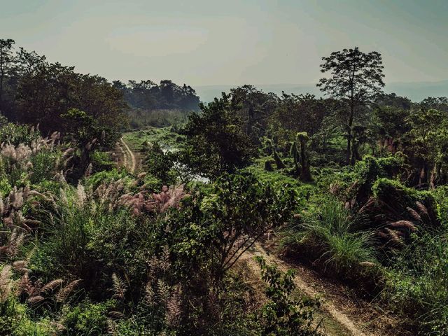Into the Wild: Exploring Chitwan National Park, Nepal 