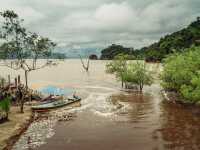 Wild Borneo Awaits: Exploring Bako National Park, Malaysia