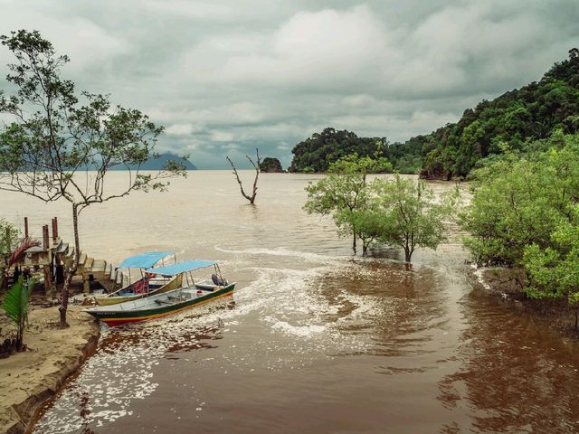 Wild Borneo Awaits: Exploring Bako National Park, Malaysia