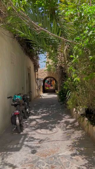 🏖️ Hammamet, Tunisia