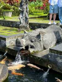 Tirta Gangga Water Palace, Bali: A Serene Garden of Royal Waters