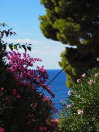 A day in Dubrovnik, King’s land