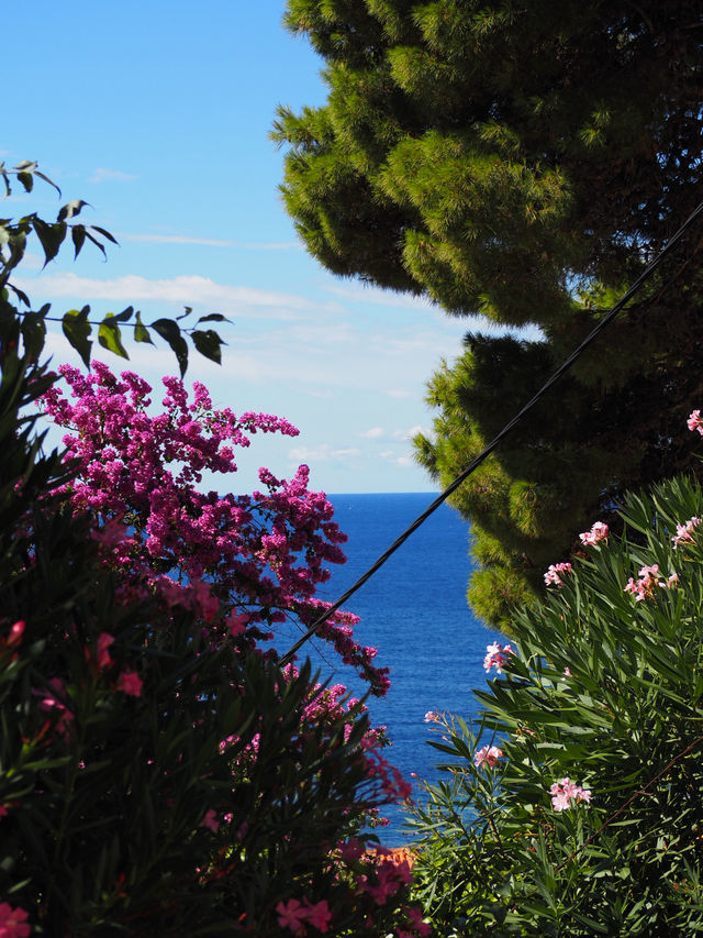 A day in Dubrovnik, King’s land