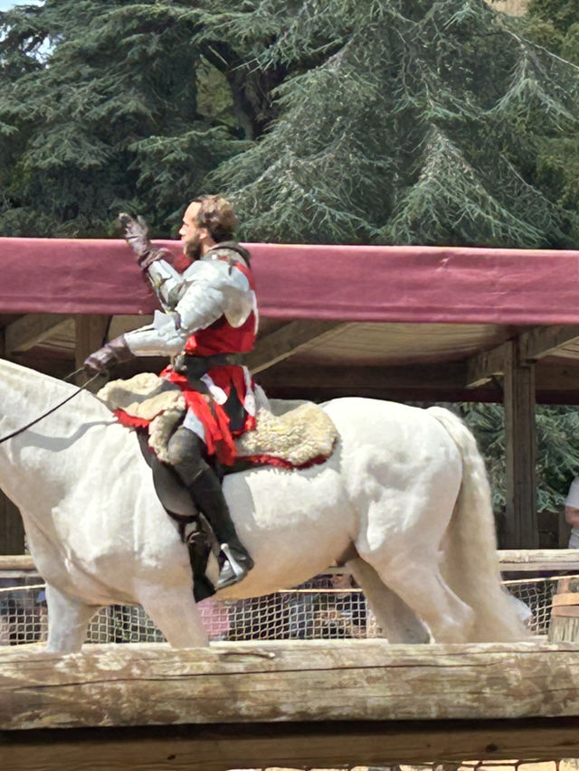 Warwick Castle Joust 