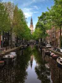 🌷 “Golden Canals & Tulip Dreams: A Day in Amsterdam” 🇳🇱