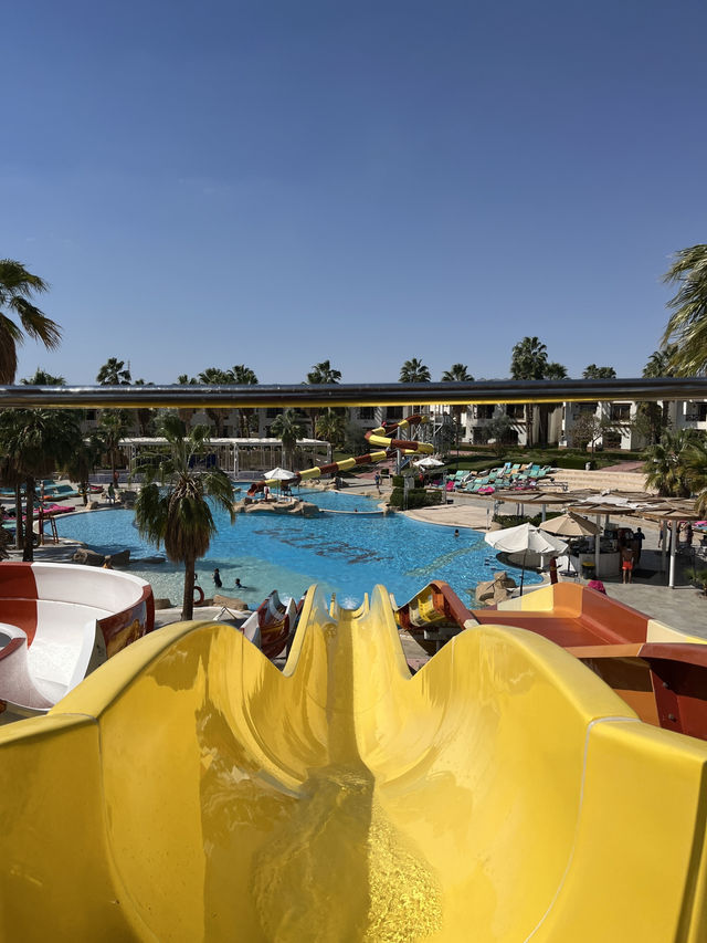 Budget Diving Escape in Sharm – All in for $100!