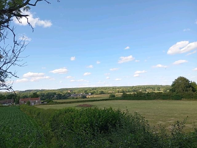Dewstow Estate Caldicot, Highmoor Hill and Slade Wood 
