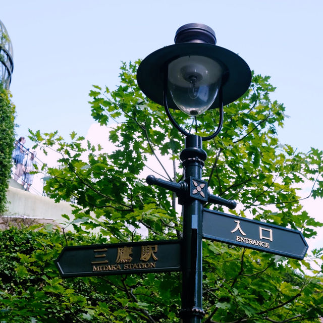 Discover Tokyo’s Green Escape: Parks & Hidden Nature