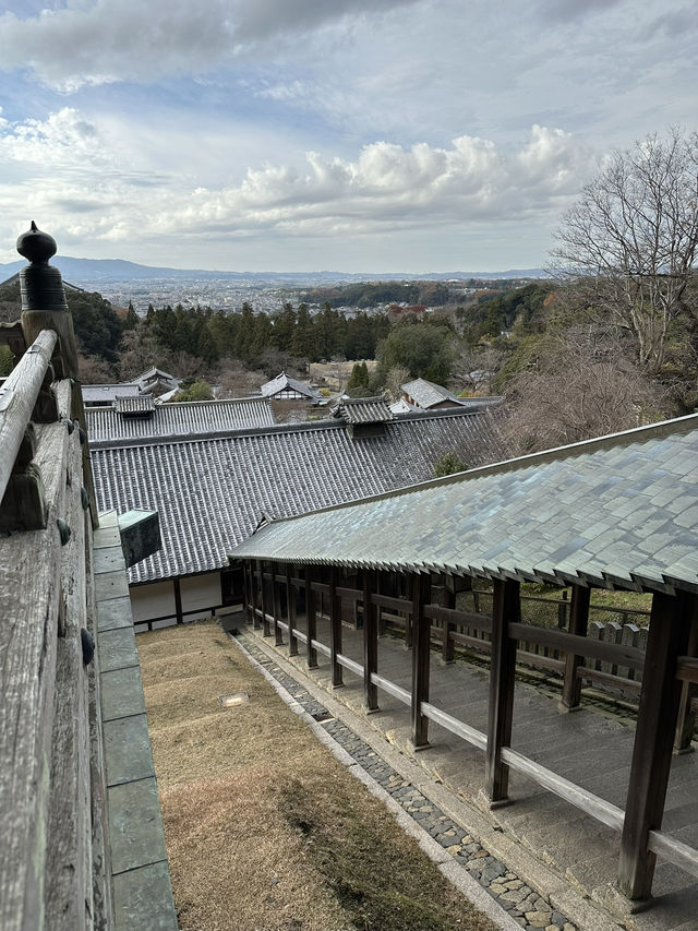Exploring Nara’s temple circuit is a must for any Japan trip