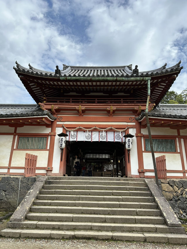 Nara’s Enchanting Shrines & Sacred Deer Encounters