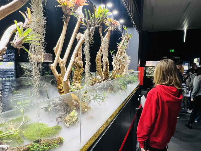 Reptiland Bucharest, Over 40 Species of Reptiles 🦎🐍
