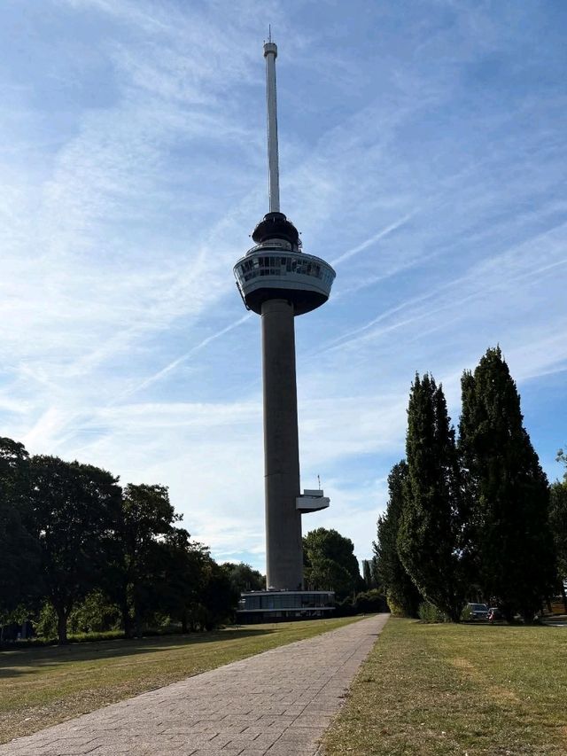 Top Halloween Attractions in Rotterdam 🎃👻