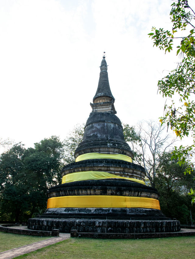 황금의 숨결이 깃든 사원의 새벽 