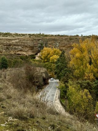 風、雨與金黃落葉