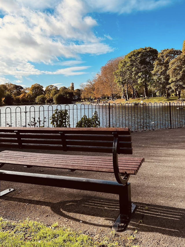 🍁 Albert Park – Autumn Paths Under Towering Trees 🌳 🍁 Albert Park – Autumn Paths Under Towering Trees 🌳