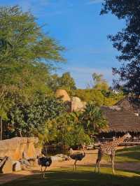 Exploring Bioparc Valencia: A Perfect Visit in Winter and Beyond