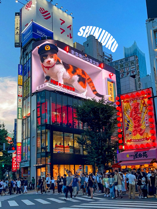 📍 Location
• Tokyo, Shinjuku district
• Exact spot: Shinjuku East Exit intersection (Shinjuku Station East Gate)
• The building is called Shinjuku Cross Building
• The screen is known as the Shinjuku 3D Cat Billboard

If you search on Google Maps:
👉 Shinjuku Cross Building 3D Cat

📸 How to take such a photo

1. Correct shooting angle

The 3D effect works only from a specific angle:
• Stand opposite the intersection, slightly diagonally from the building
• The best spot is the pedestrian crossing or sidewalk opposite the screen
• Don’t get too close — the "popping out" effect will disappear

2. Timing
• Twilight/early evening is ideal
The sky is still blue, and the neon and screen are already bright (as in the photo)
• The screen works during the day too, but it looks more impressive in the evening

3. Camera and settings

You can shoot with both a smartphone and a camera:
• Focus: standard (wide/1x)
• Don’t use ultra-wide — it "distorts" the 3D effect
• HDR on — a plus
• Shoot slightly below the screen level to make the cat look massive

4. A bit of luck
• Wait for the moment when the cat moves or "peeks out"
• People in the frame add scale — don’t be afraid of the crowd

🧠 Important to know

This is not a photo montage.
The screen is specially designed:
• with a curved angle
• with anamorphic 3D graphics
That’s why it "tricks" the eye from the right spot.