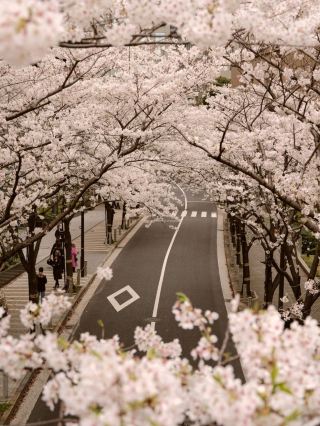 ✨ Tokyo isn’t just a city—it’s a sensory playground! My stay at Janu Tokyo in Azabudai made every moment feel five-star, from sunrise in spacious suites to jaw-dropping Tokyo Tower views right from my balcony. The vibe? Modern luxe meets genuinely warm, attentive hospitality—a true oasis for families or solo city explorers. 🌃
Janu Tokyo is super easy to reach, nestled in Azabudai, one of Tokyo’s trendiest enclaves for cafes, art, and nightlife. The rooms are spacious, bright, and thoughtfully designed, offering a relaxing retreat after temple hopping or shopping at nearby Roppongi Hills. The real magic? Welcoming staff who treat you like family—always prompt and polite, plus they know how to make even the smallest requests feel special. The dining here goes beyond basic hotel fare: don’t miss omakase night or the signature breakfast, both beautifully plated with options for kids and adults alike. High hygiene standards keep everything sparkling clean and fresh.
Insider photo tips:
1. For iconic Insta shots, snap your balcony view at golden hour when Tokyo Tower glows.
2. The lobby’s sleek architecture makes a bold backdrop—pose by the main staircase for chic lifestyle shots.
3. Breakfast spread photos look amazing flooded with morning light—get a window seat for those foodie snaps!
Booking Janu Tokyo on trip.com guarantees the best rates and easy customization. Tokyo tip: Plan for an early morning visit to nearby Zojoji Temple, then hit Roppongi Hills for shopping and art galleries. #Tokyo #LuxuryHotel #FamilyTravel #CityViews #Tripdotcom