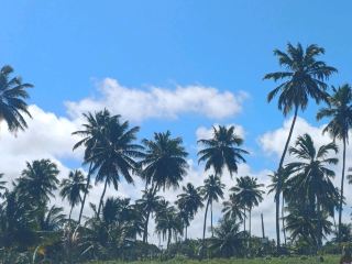 透き通る海と温かい笑顔：「ブラジルのカリブ海」と呼ばれるマラゴジへようこそ。