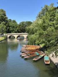 🌿 Did you know Cambridge has a hidden side beyond the famous colleges?