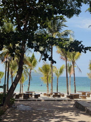 Tired of the 'anthill' on the beach?