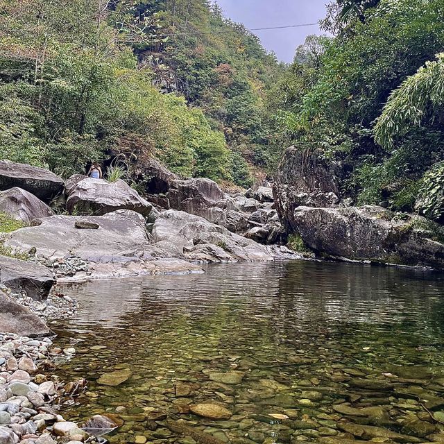 HUANGSHAN WILD MONKEY VALLEY 