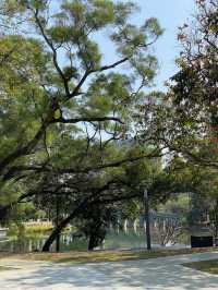 深圳深度遊 四海公園 可以放歌嘅凳