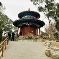 JINGSHAN PARK in the center of BEIJING 