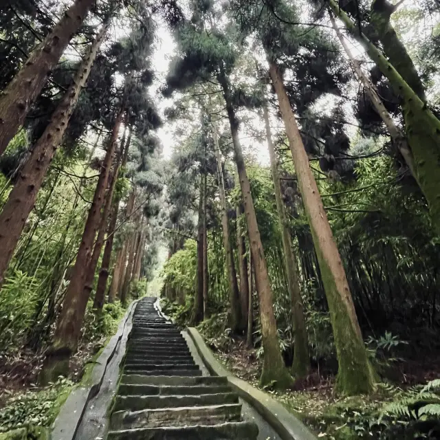 Emeishan Hiking Paradise