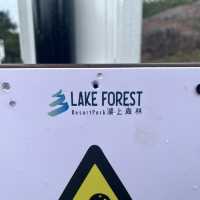Activities in 1 place! 