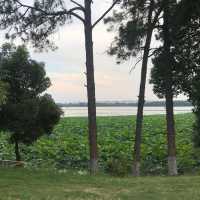 lake life in Wuhan