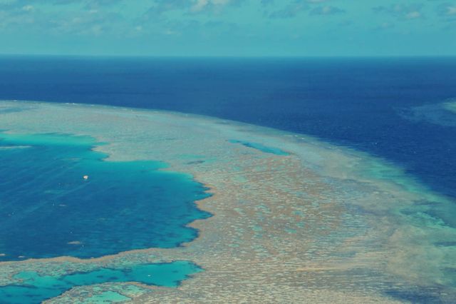 The perfect Great Barrier Reef.