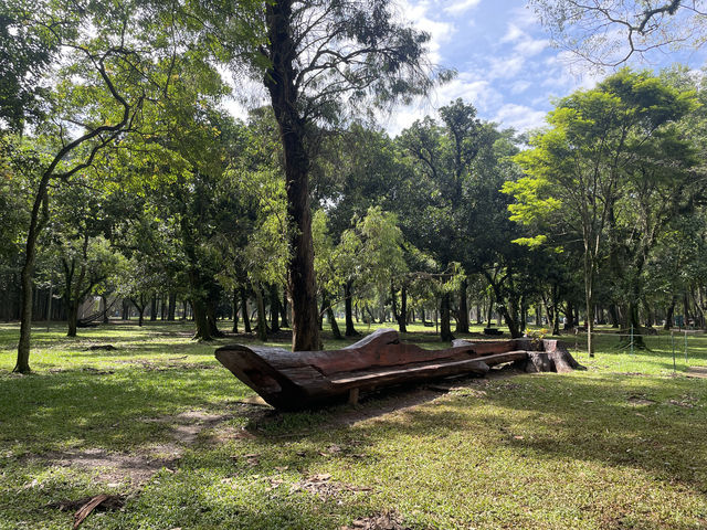 São Paulo · Ibirapuera Park